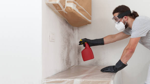Professional Basement Mold Remediation technician working in Jonestown, TX