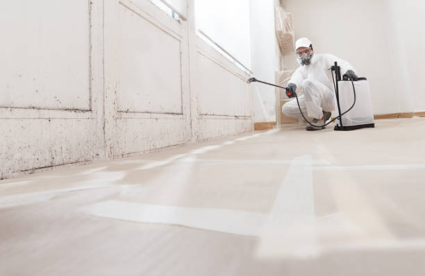24/7 Emergency Basement Mold Remediation experts in Jonestown, TX