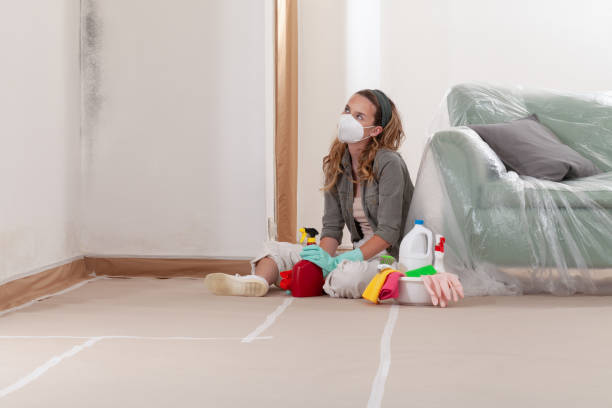 Reliable Basement Mold Remediation contractor in Jonestown, TX by 24 Hour Mold Removal